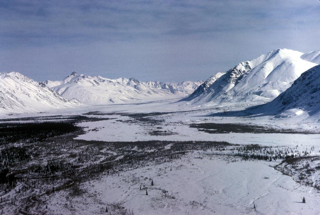 Arctic during the winter