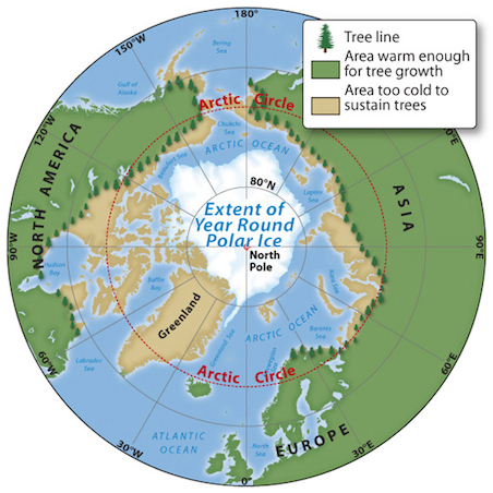 Map of the circumpolar Arctic vegetation distribution.