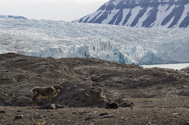 Nordenskjöldbreen glacier, Svalbard