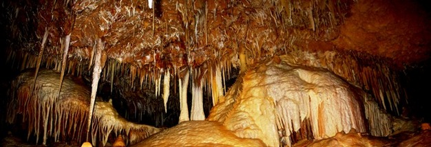 Carbonate (speleothems) growths within a cave environment