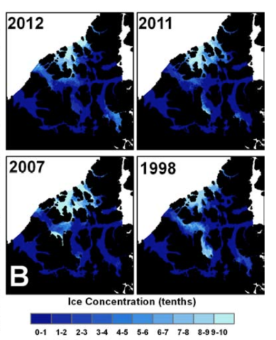 Sea Ice concentrations in the extreme low years of 2012, 2011, 2007 and 1998