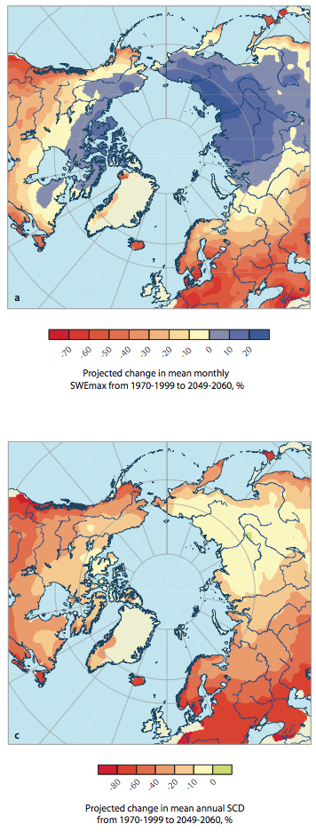 Projections and Impacts of Changes in Snow Cover