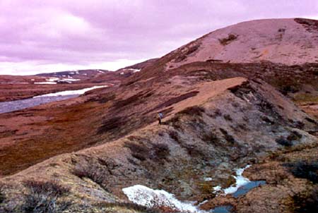 Centre collégial de développement de matériel didactique, photo no 6432 Esker