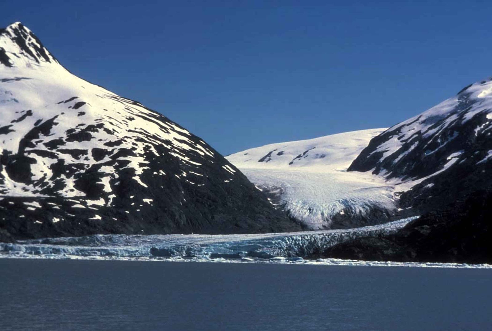 U.S. Fish and Wildlife Service Tidewater Glacier
