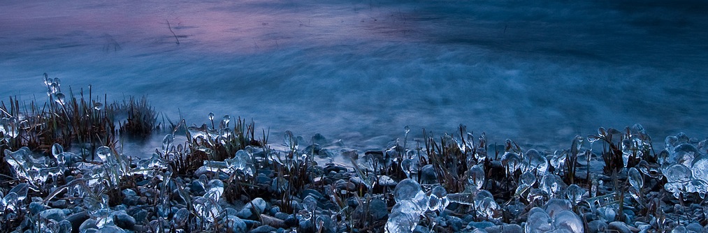 marcshandro.org Alberta Lake with trees in foreground