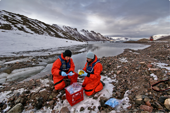 ArcticNet Research Researchers collecting samples in the Arctic