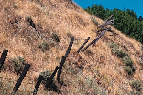 Belmont Secondary Geology  Frost Creep