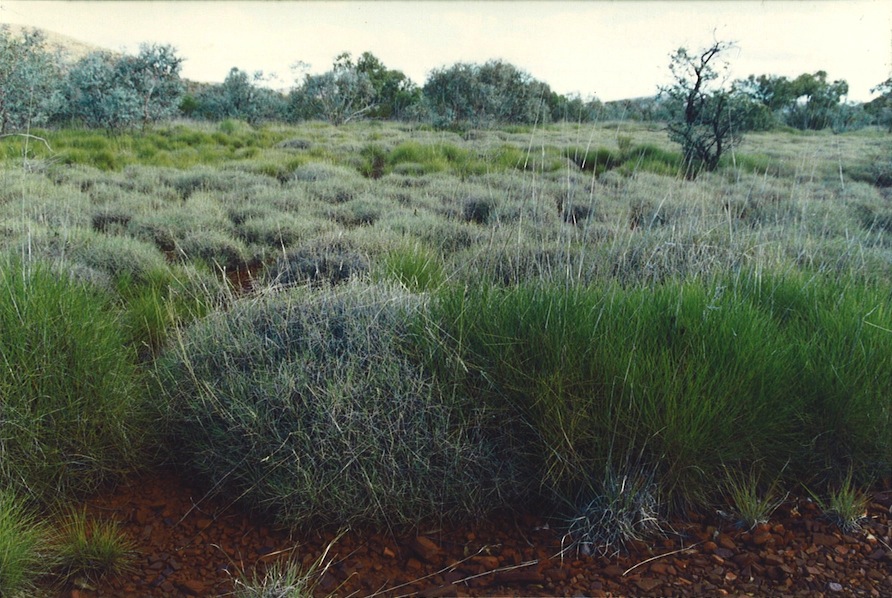 Hesperian, 1996  Hummock/Mound