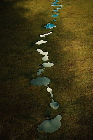 Joel Sartore Beaded Stream