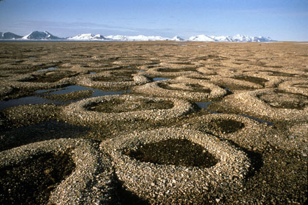 Bernard Hallet, National Geographic Stone Circles