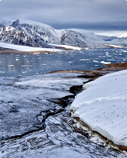 ArcticNet Research River bank in the Arctic
