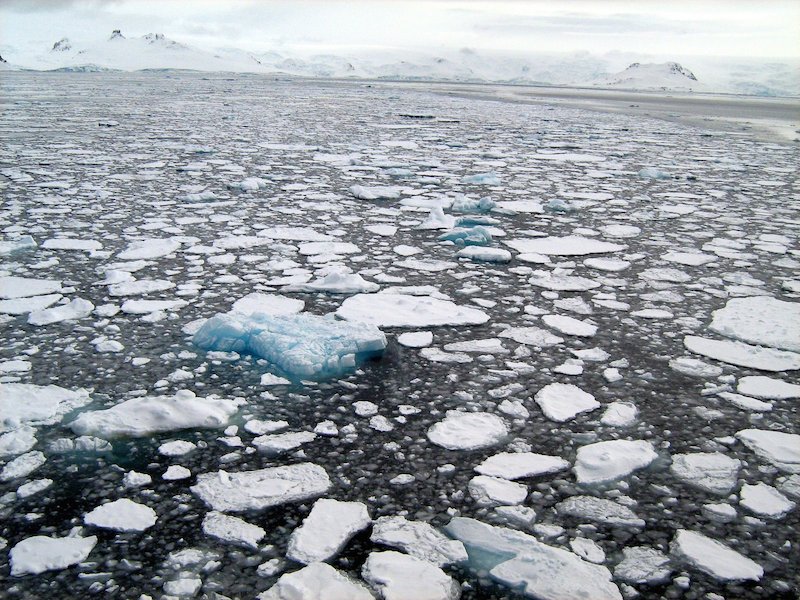 http://commons.wikimedia.org/wiki/File:Sea_ice_Antarctica.JPG Broken ice in the ocean surrounding Antarctica