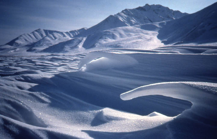 Perennial Snow, wilderness.net Mountains covered in layers of snow