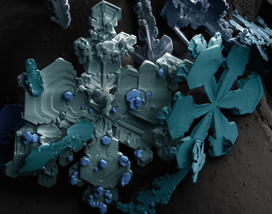 Low-temperature scanning electron microscope Agricultural Research Service, United States Department of Agriculture Snow crystals shown under an electron microscope
