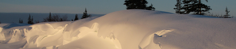 SnowTweets Low row of snowbanks