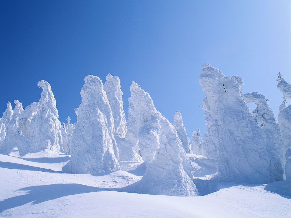 Wikimedia Commons Snow covered trees (Wikimedia Commons)